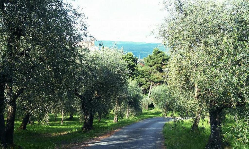 Podere Gianpaolo Pescia Exterior foto